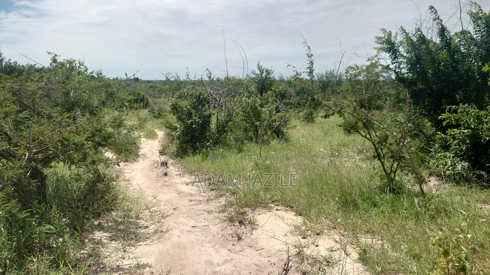 Shamba La Ekri 50 Fukayosi Bagamoyo