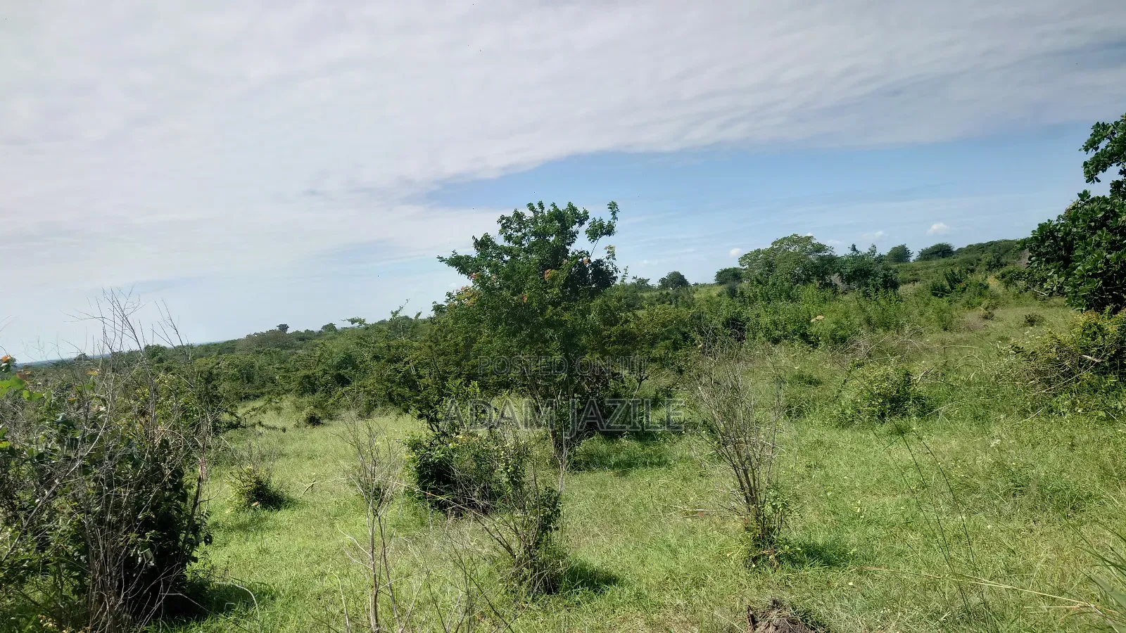 Shamba La Ekri 50 Fukayosi Bagamoyo