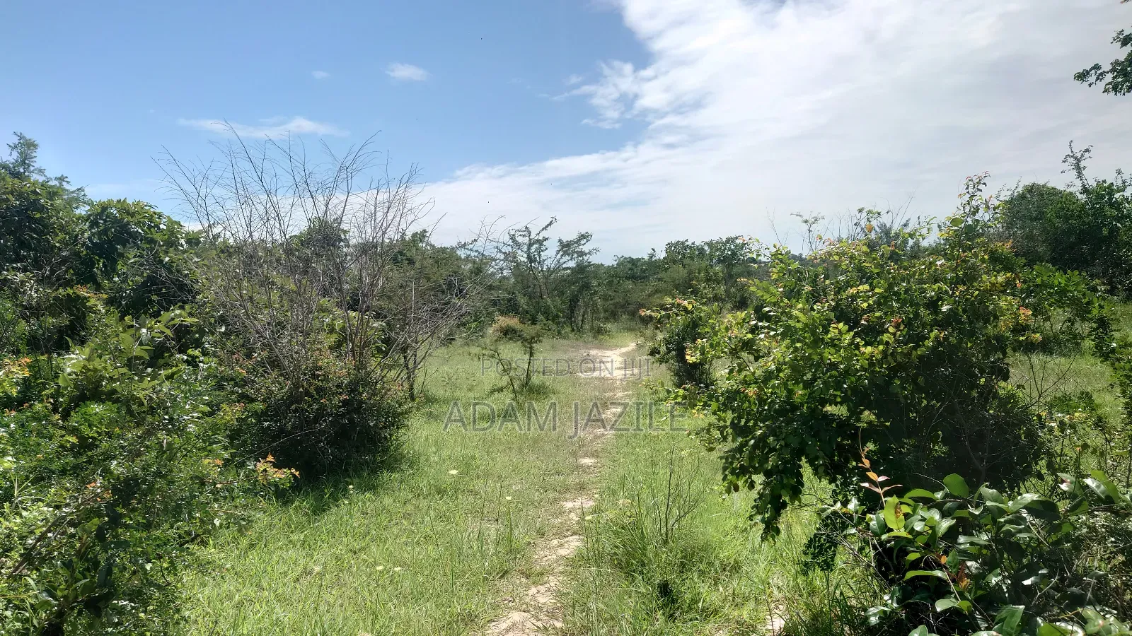 Shamba La Ekri 50 Fukayosi Bagamoyo