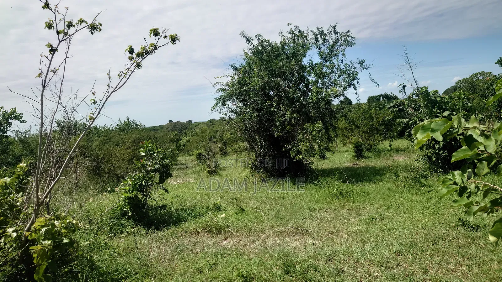 Shamba La Ekri 50 Fukayosi Bagamoyo