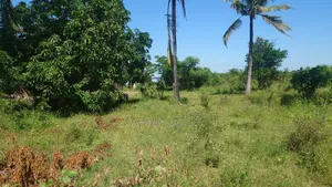 Eneo La Barabarani Bagamoyo Ekari 10