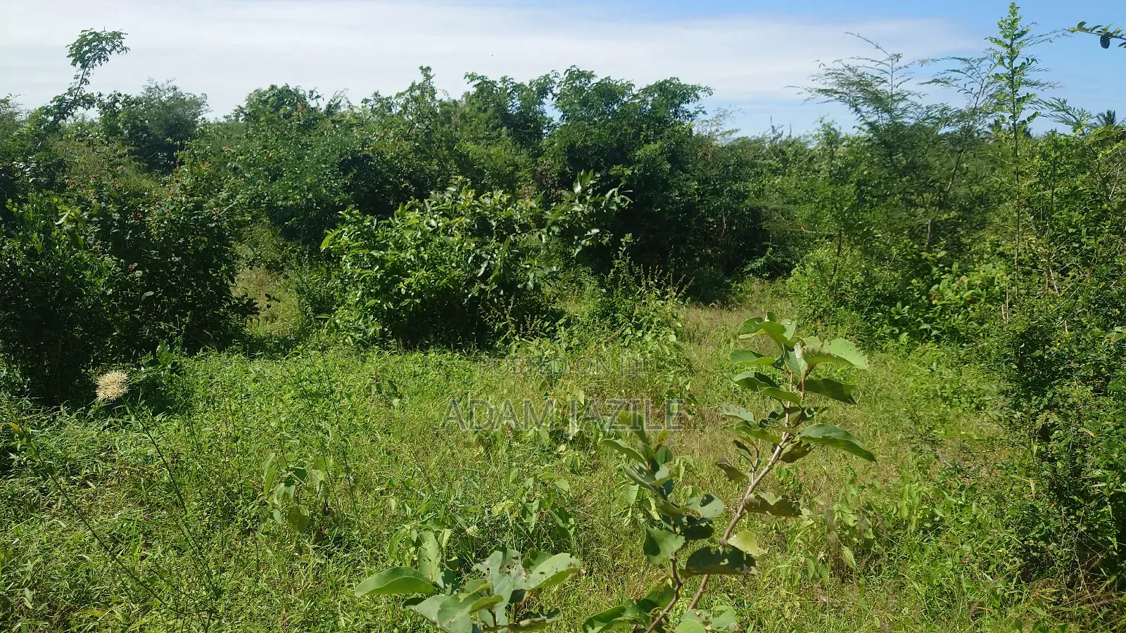 Eneo La Barabarani Bagamoyo Ekari 10