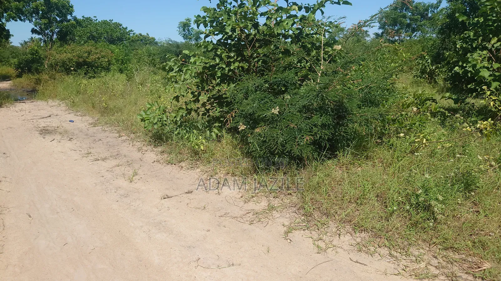 Eneo La Barabarani Bagamoyo Ekari 10
