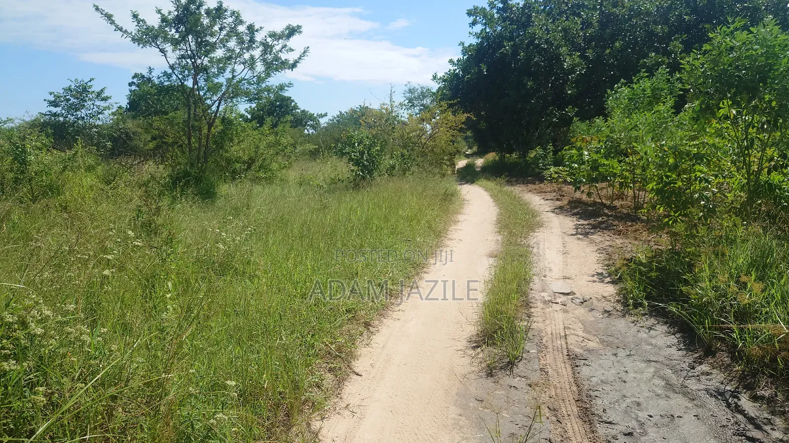 Eneo La Barabarani Bagamoyo Ekari 10