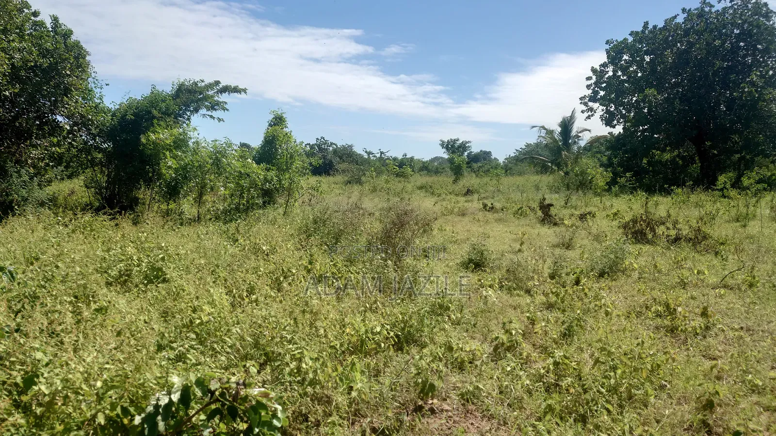 Eneo La Barabarani Bagamoyo Ekari 10