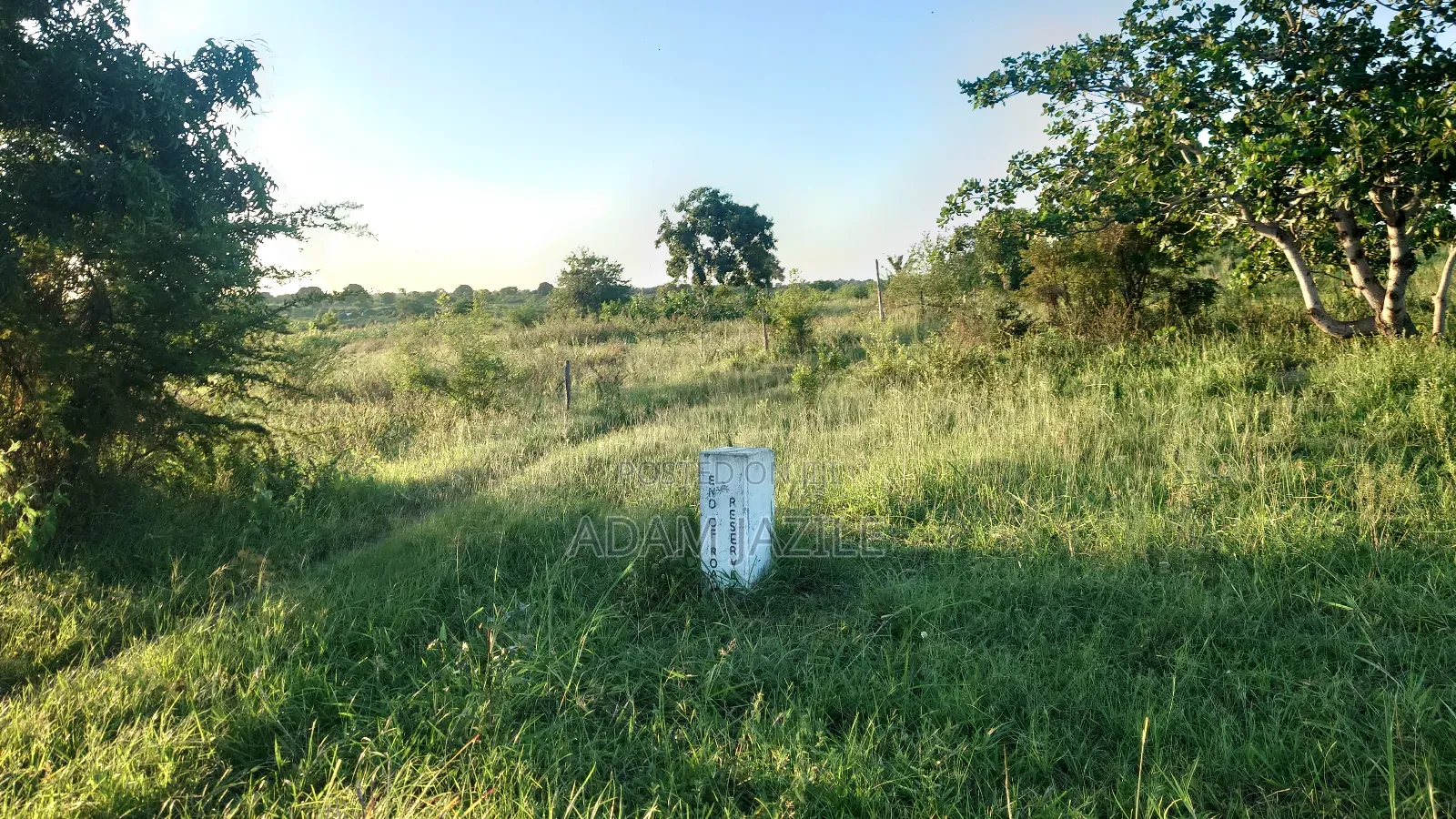 Eneo La Kiwanda La Barabarani Fukayosi Bagamoyo