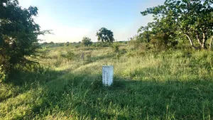 Eneo La Kiwanda La Barabarani Fukayosi Bagamoyo