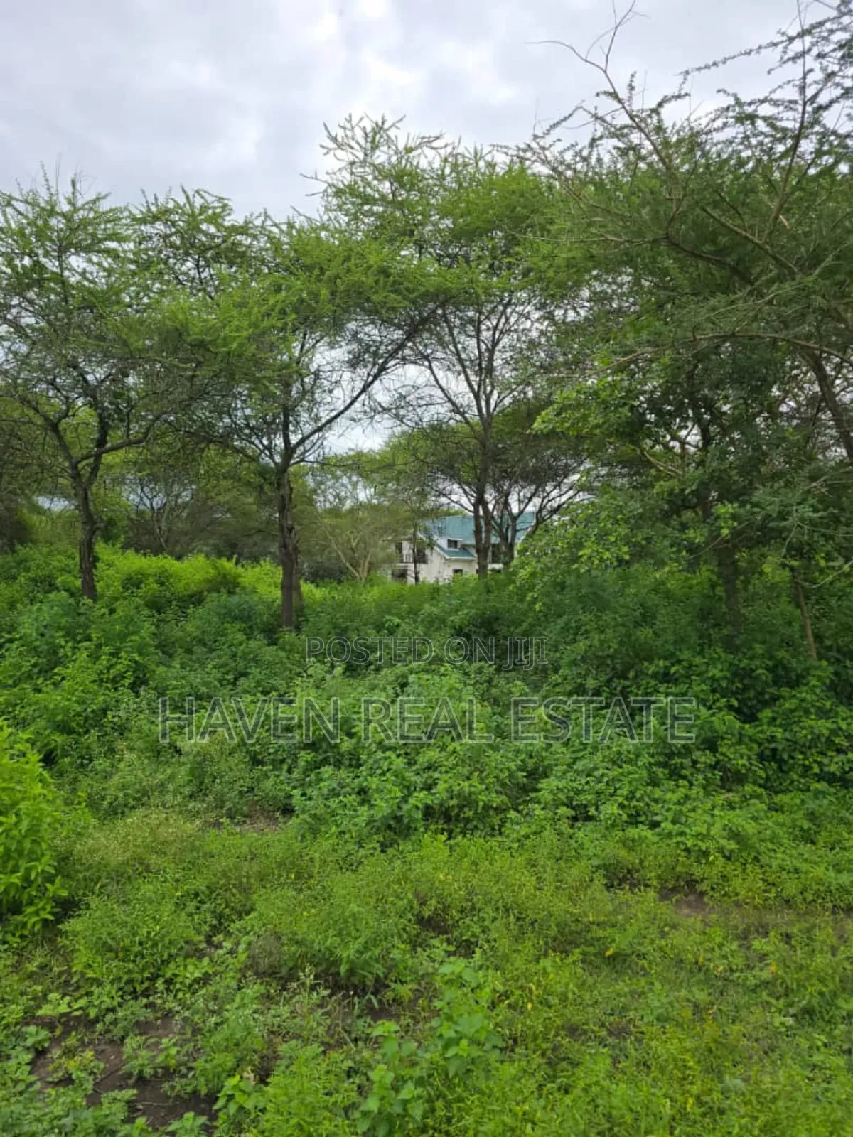 Shamba Linauzwa Usa River Arusha