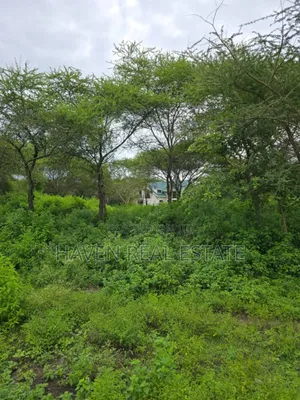 Shamba Linauzwa Usa River Arusha