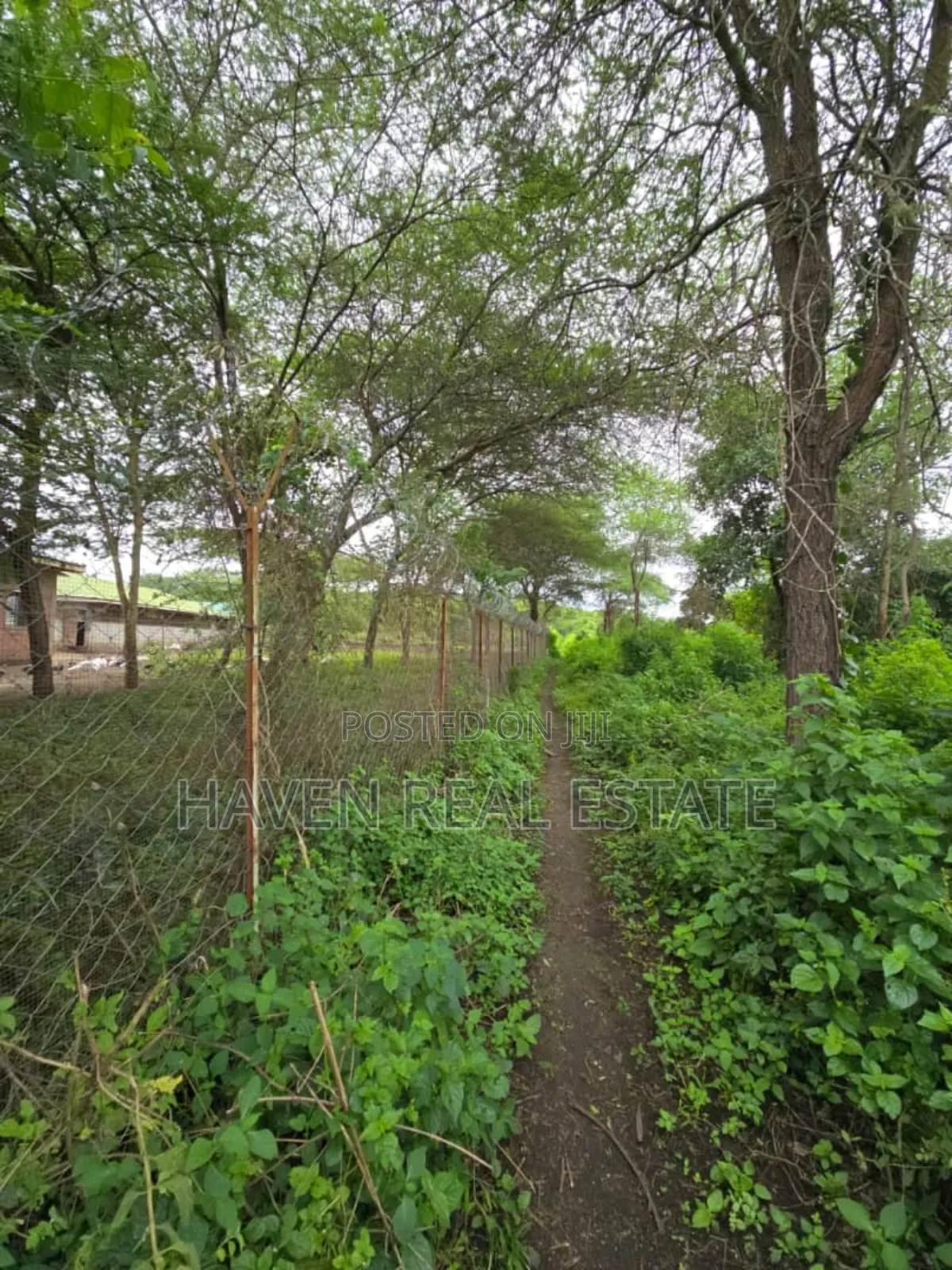 Shamba Linauzwa Usa River Arusha