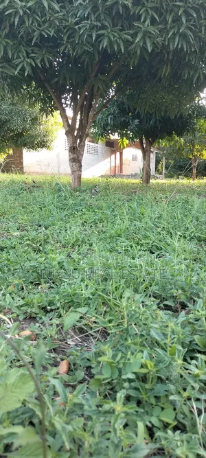 Ware House Land for Sale at Kibaha Kwa Mathias (3acres)