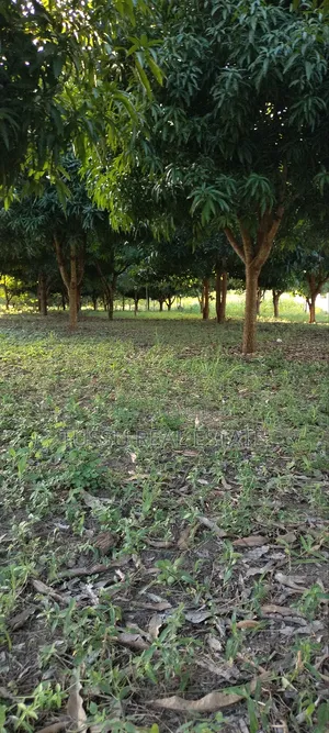Ware House Land for Sale at Kibaha Kwa Mathias (3acres)