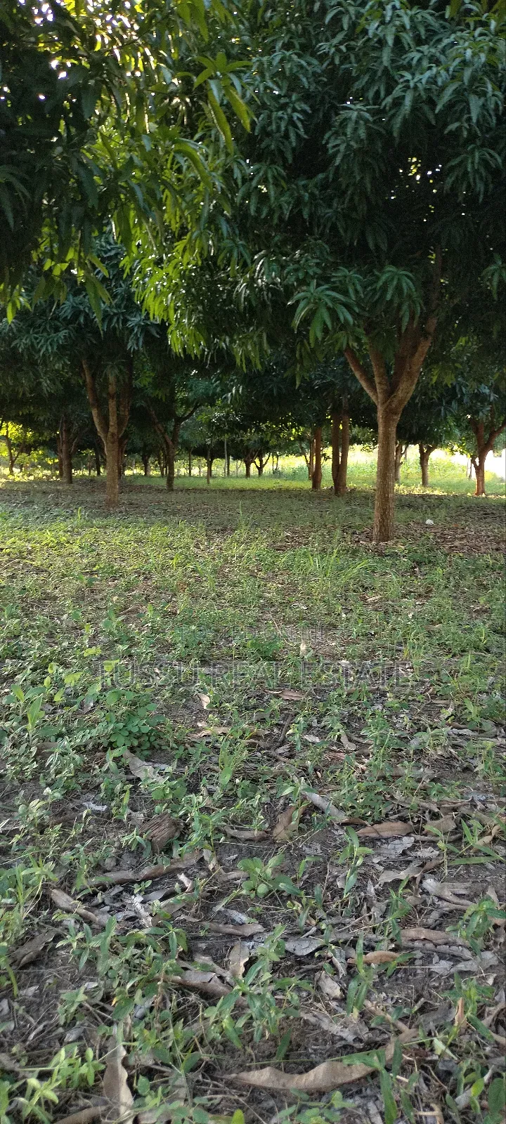 Ware House Land for Sale at Kibaha Kwa Mathias (3acres)