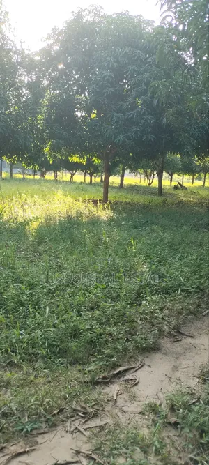Ware House Land for Sale at Kibaha Kwa Mathias (3acres)