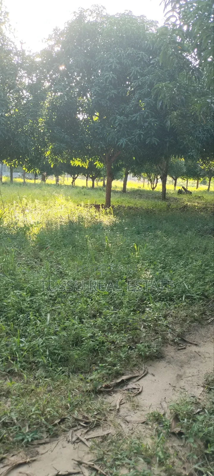 Ware House Land for Sale at Kibaha Kwa Mathias (3acres)