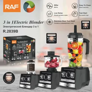 3 in 1 Electric Blender Raf