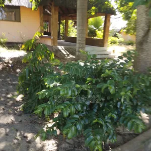 5 Acres for Sale at Chalinze