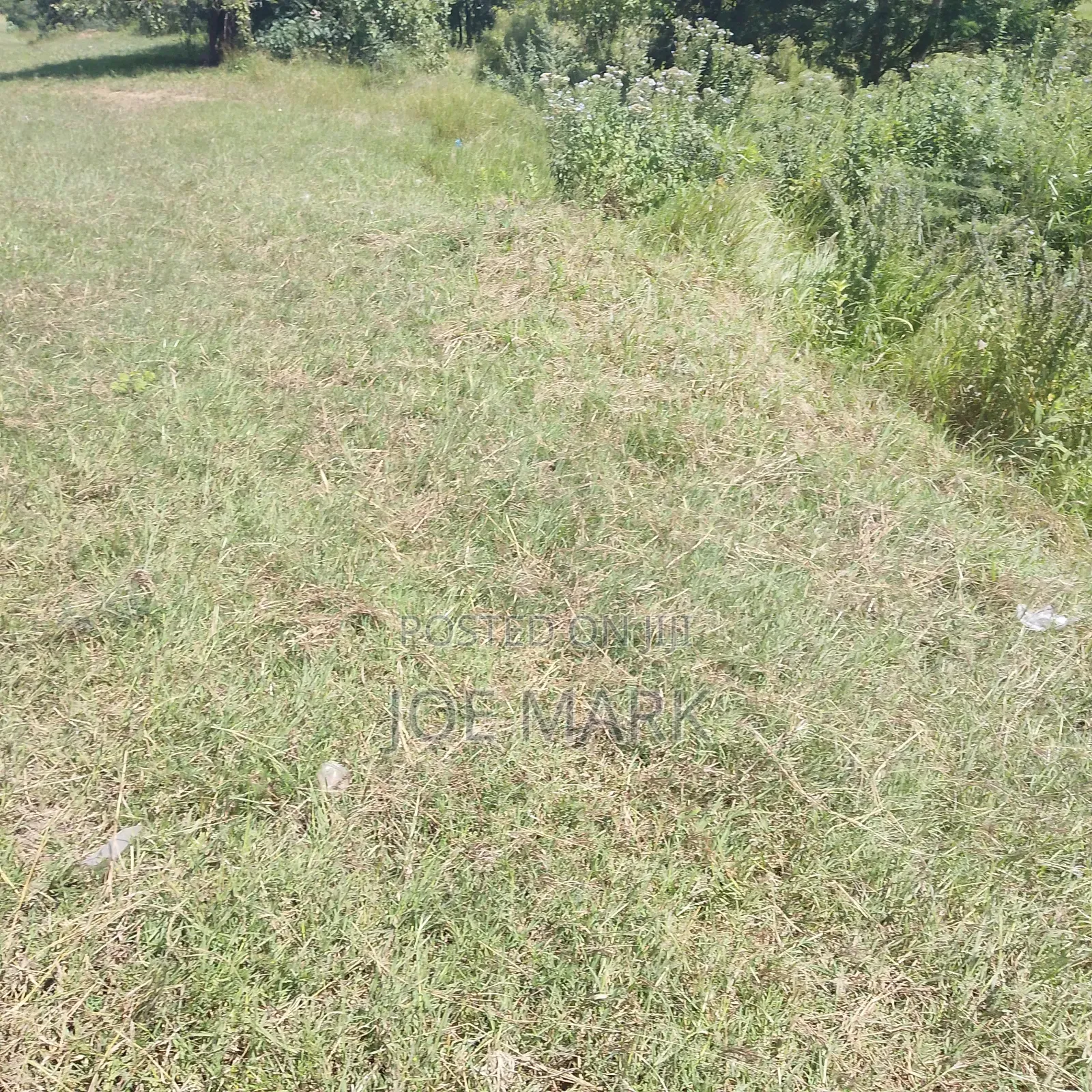 Plot for Sale Chalinze Msolwa