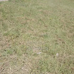 Plot for Sale Chalinze Msolwa
