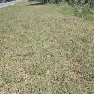 Plot for Sale Chalinze Msolwa