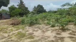 Commercial Plot for Sale at Tabata Segerea