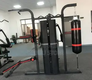 Home Gym 3 Station