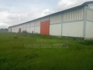 Godown Inauzwa Bao Bao Bagamoyo