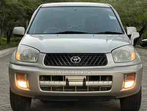 Toyota RAV4 2002 Silver