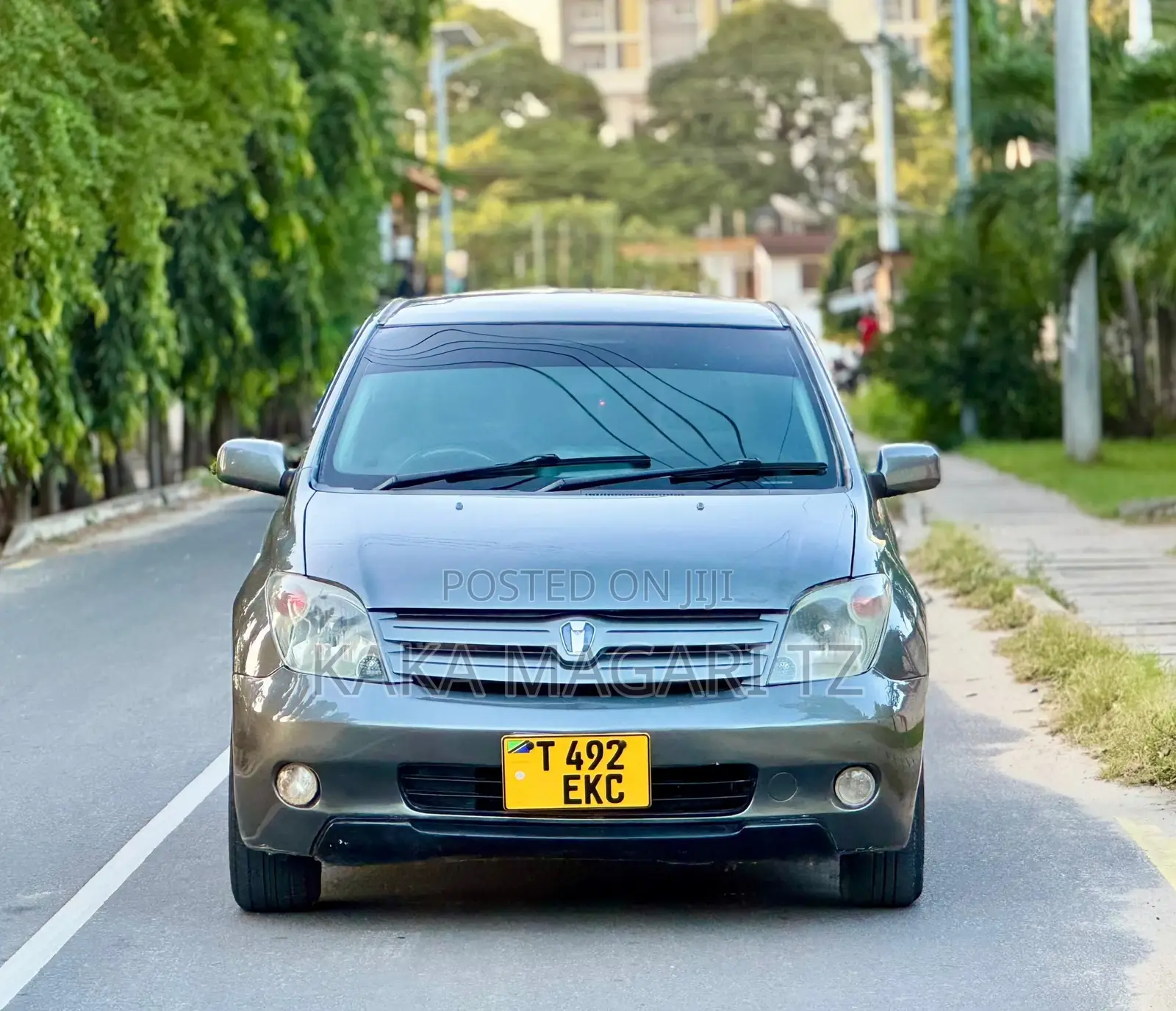 Toyota IST 2003 Gray