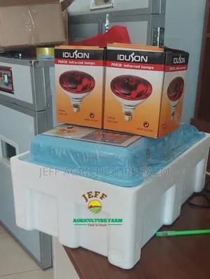 Incubator Mayai 30 (A)