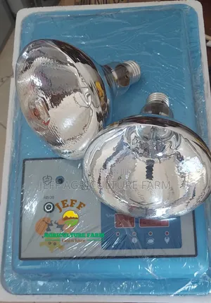 Incubator Mayai 30 (A)