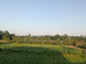 Plot For Sale In Burka 900 Square Meters.