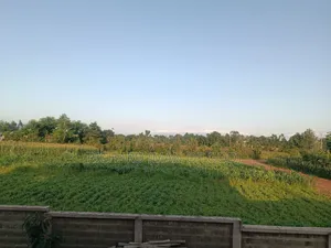 Plot For Sale In Burka 900 Square Meters.