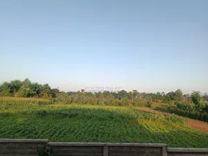 Plot For Sale In Burka 900 Square Meters.
