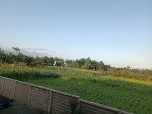 Plot For Sale In Burka 900 Square Meters.