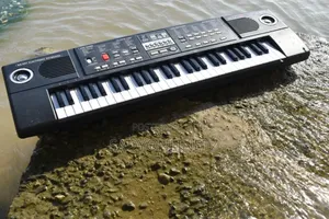 Electronic Keyboard (Canto54key)