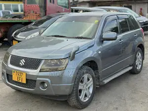 Suzuki Escudo 2006 Gray