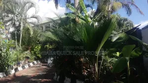 2bdrm Apartment in Regent Estate, Mikocheni for rent