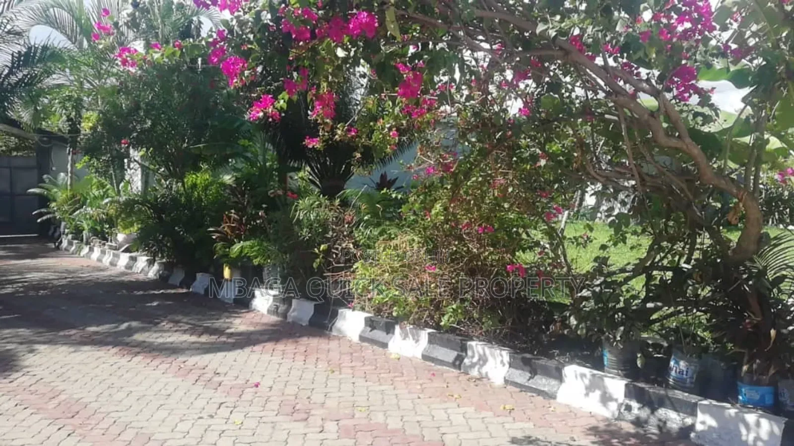 2bdrm Apartment in Regent Estate, Mikocheni for rent
