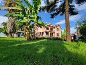 6bdrm Mansion in Arusha for rent