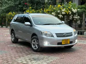 Toyota Corolla Fielder 2007 Silver