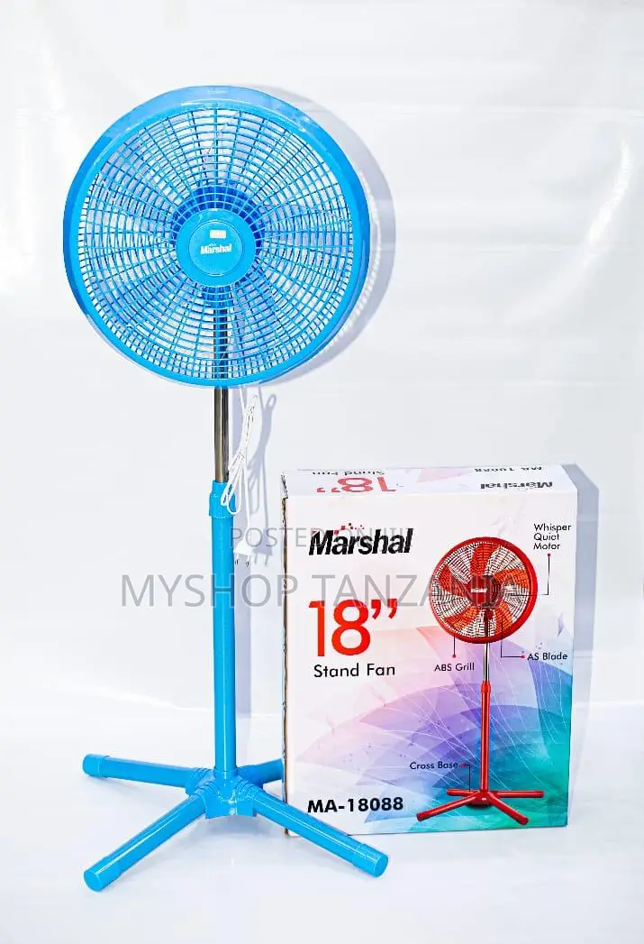 Marshall Size 18 Standing