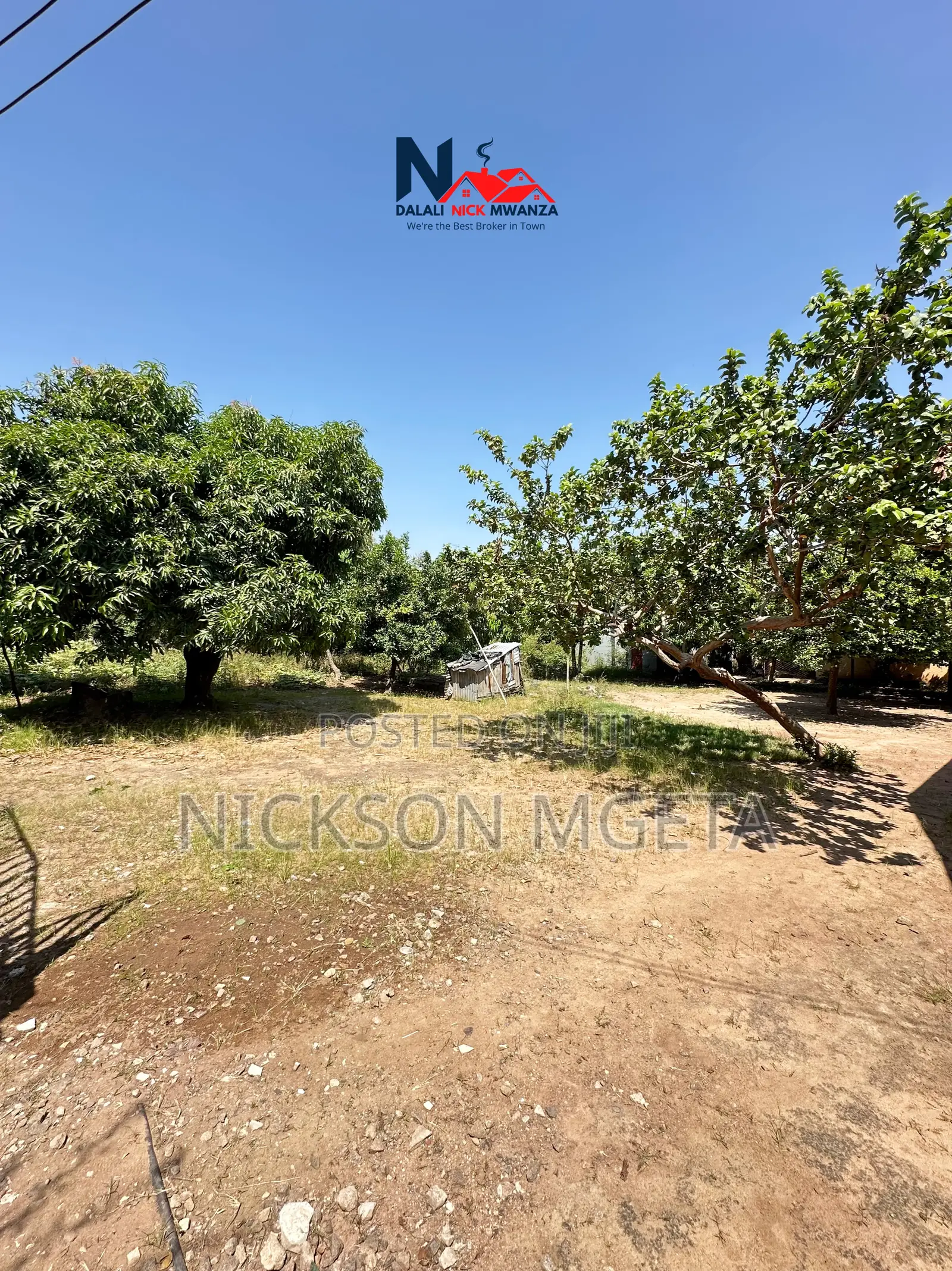 Plot for Sale