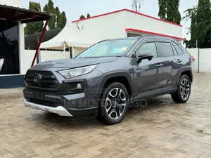 Toyota RAV4 2019 Gray