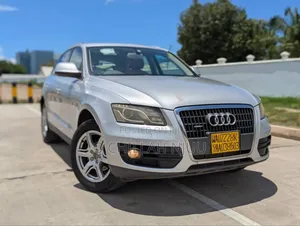 Audi Q5 2009 Silver