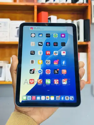 Apple iPad mini 6 256 GB Gray