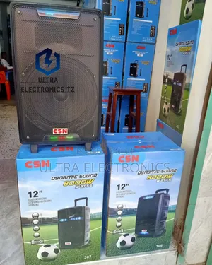CSN Rechargeable Dj Battery Speaker System With Mic 