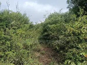 2 Acres Land in Mateves-Western Arusha for Sale