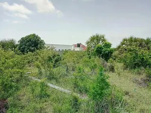 *#01 Plot for Sale