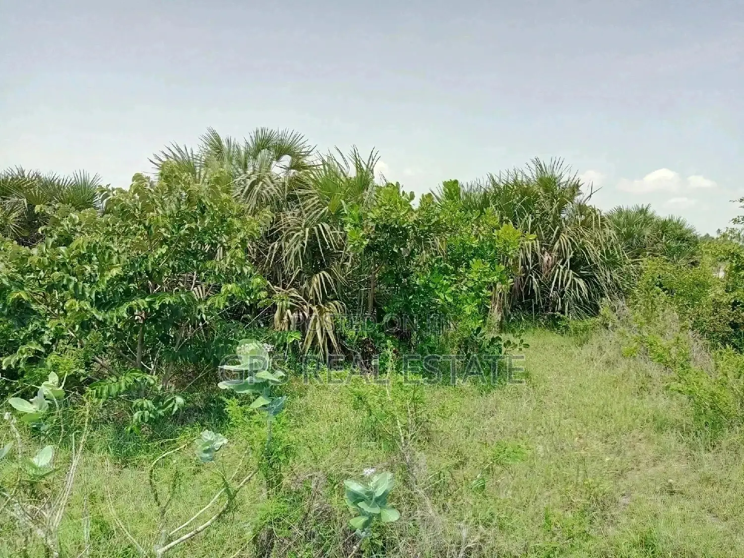 *#01 Plot for Sale